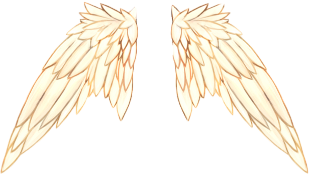 Click image for larger version. Name:	Angel Wings.png Views:	544 Size:	198.2 KB ID:	1294