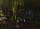 Dungeons and Dragons Online screenshot 2