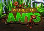 World of Ants wallpaper 1