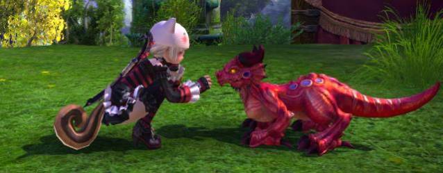 TERA Dragonette Pet Giveaway